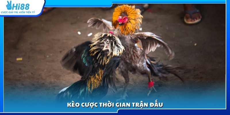 Hình thức đặt kèo theo mốc thời gian diễn ra trận đá gà